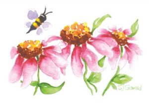 Three Pink Flowers with a Bee flying nearby